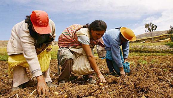 Los alimentos y sus productores
